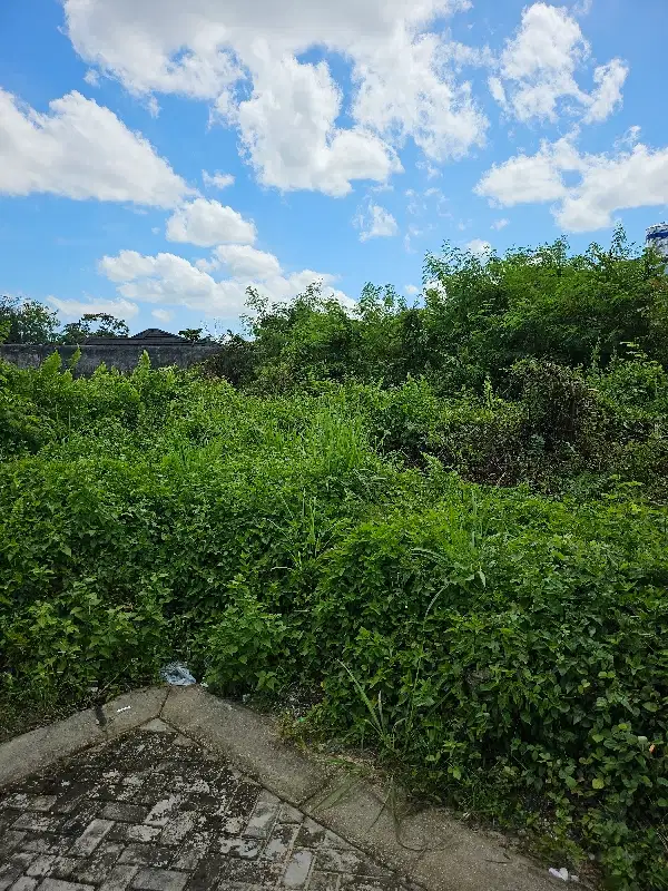 Kav.TURUN HARGA Bella Vista Garden 1,6M
