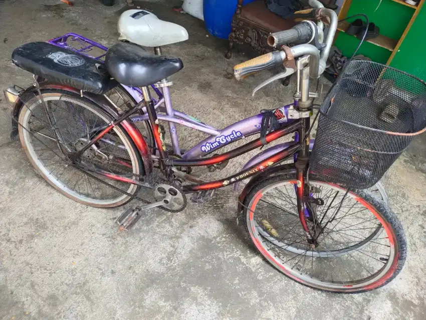 Jual Borongan Sepeda Wim Cycle dan Phoenix