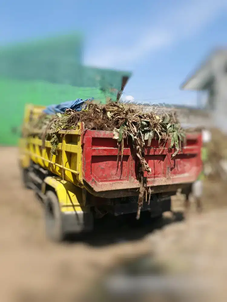 Siap buang ranting pohon Jogja dan sekitarnya