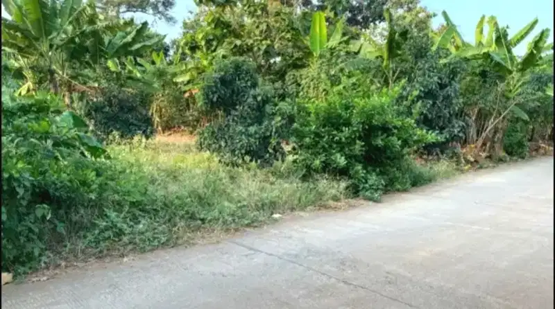 Tanah Tembalang Mulawarman Undip