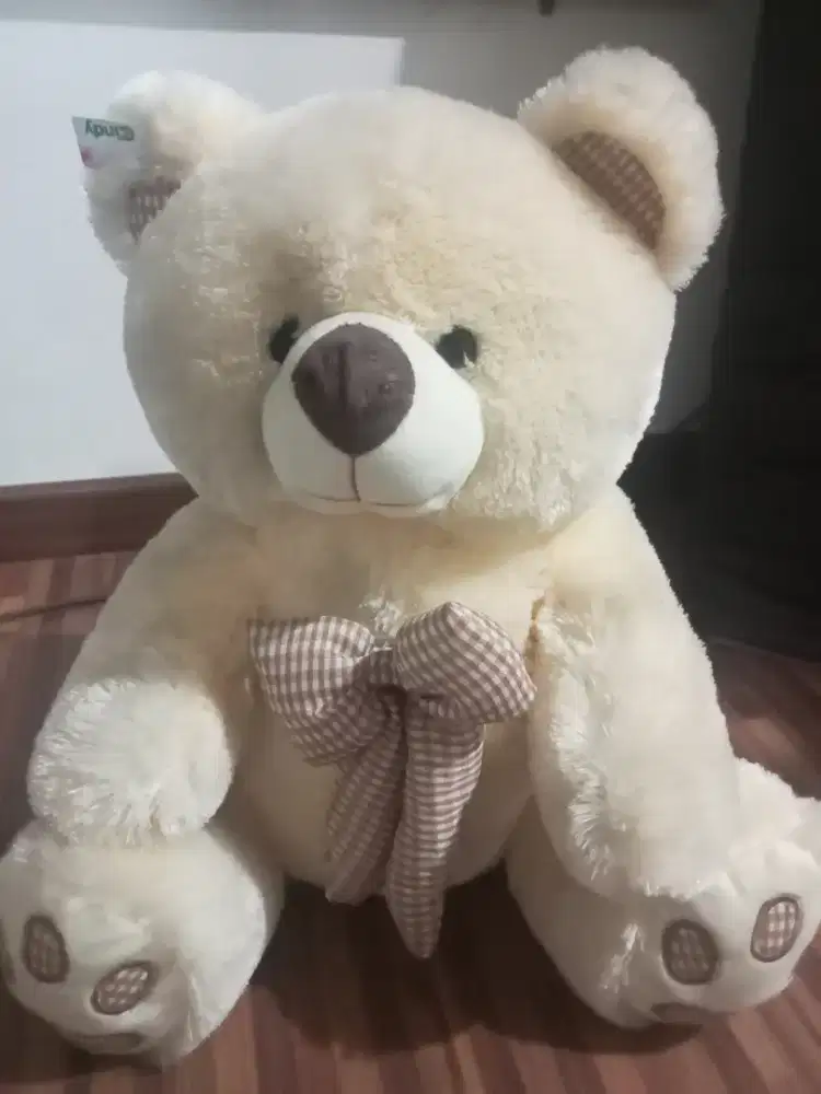 Boneka Beruang sedang Lucu