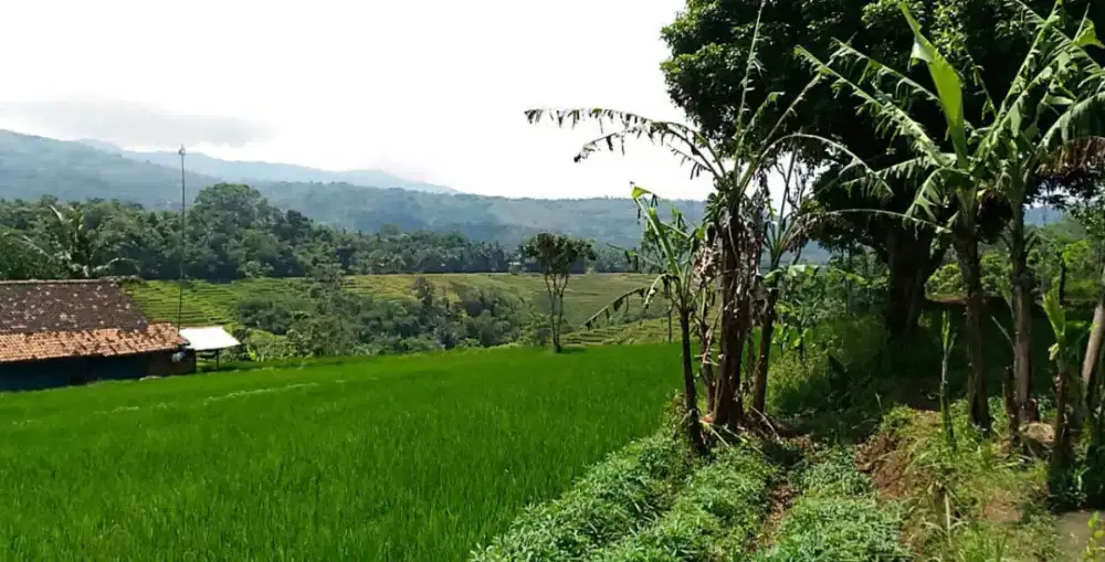 JUAL TANAH NAGREK RANCAEKEK BANDUNG