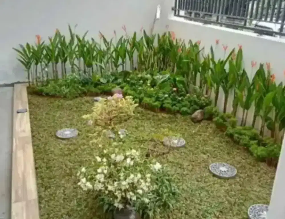 Taman rumah cantik
