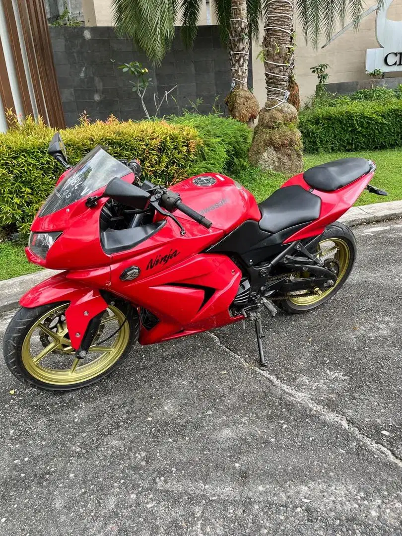 Ninja warior 250 karborator