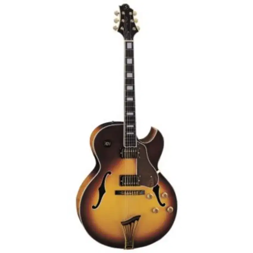 Greg Bennet Lasalle JZ-3 Jazzguitar
JZ-3  vs