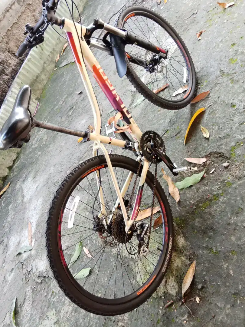 Polygon Cleo 2 size 27.5in
