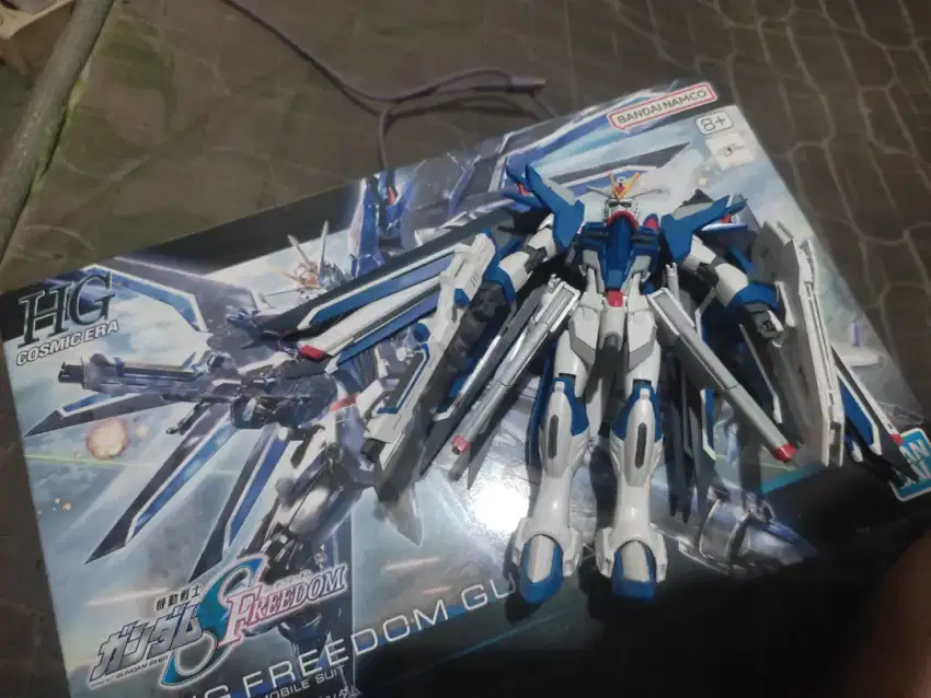 Gunpla HG Rising freedom