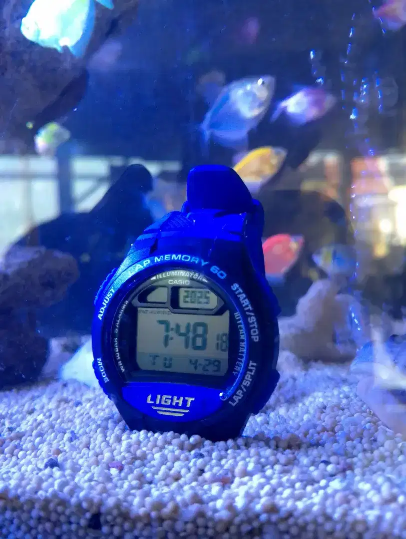JAM TANGAN CASIO W734 MULUS