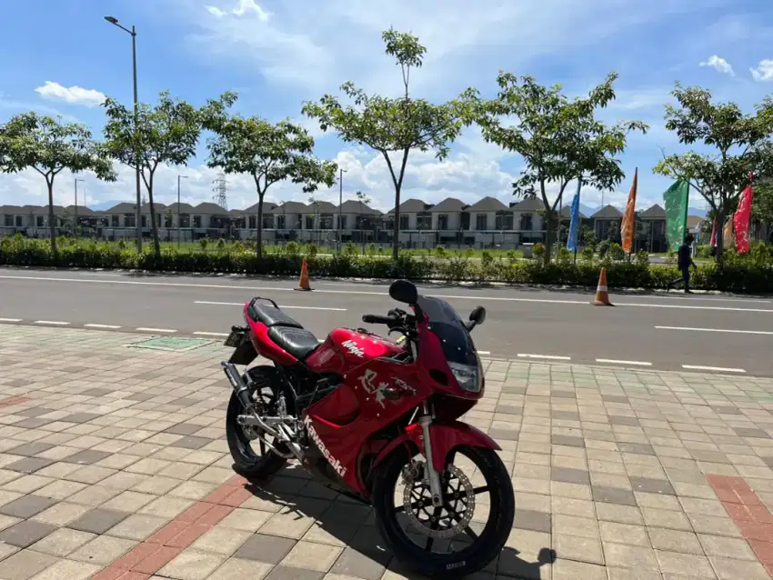 NINJA RR 2011 STD