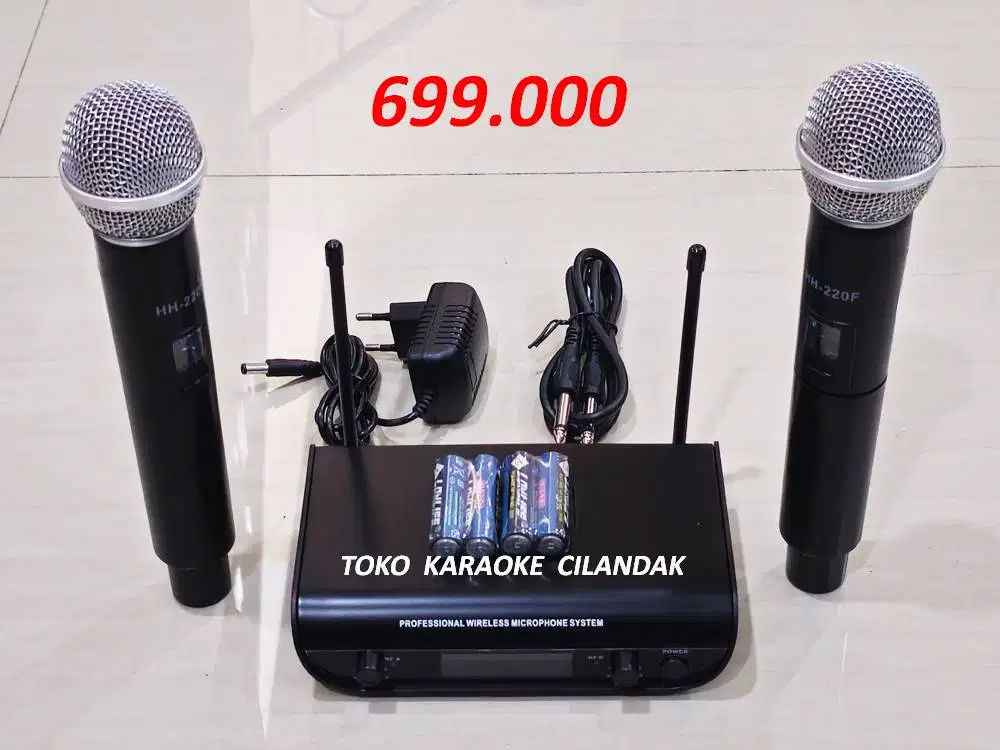 MICROPHONE WIRELESS 2 MIC