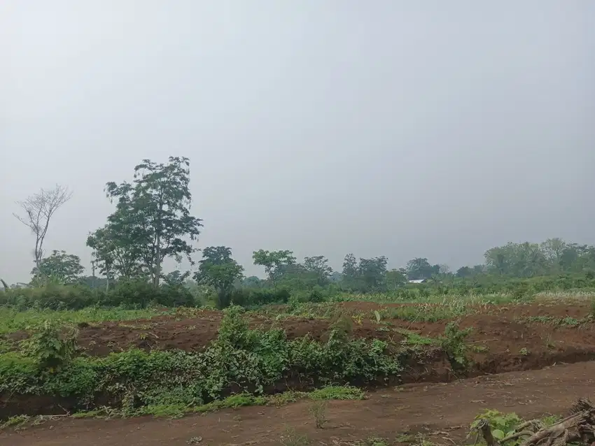 Tanah Kavling 3 Menit Dari UIN Malang