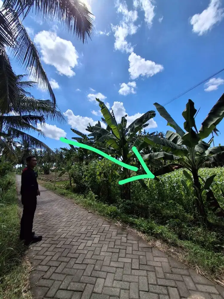 Tanah Kavling SHM Dijual