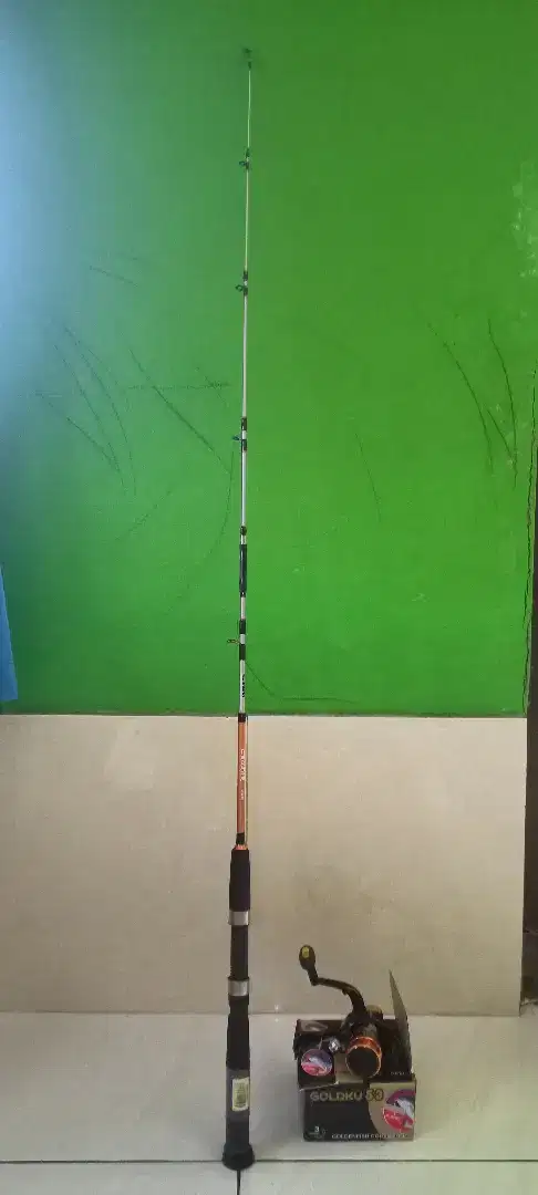 Joran pancing + Reel pancing