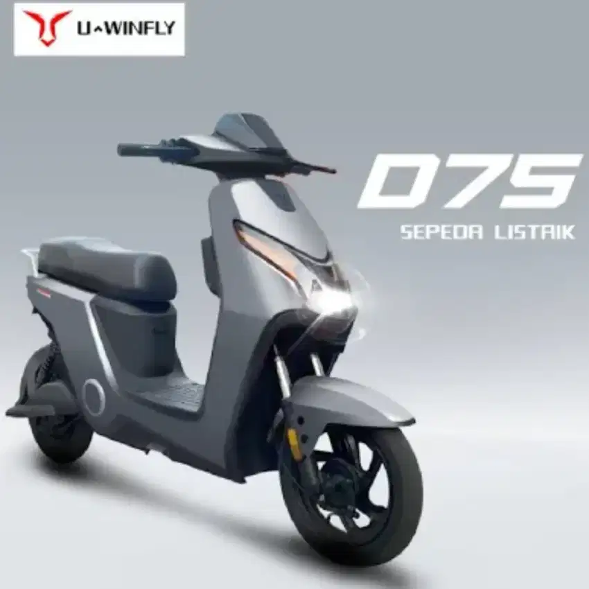 Sepeda listrik D75
