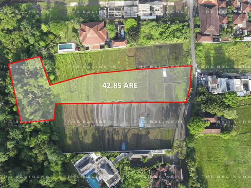 IDYLLIC DEVELOPMENT LAND AMIDST RICE FIELDS IN BUWIT, TABANAN