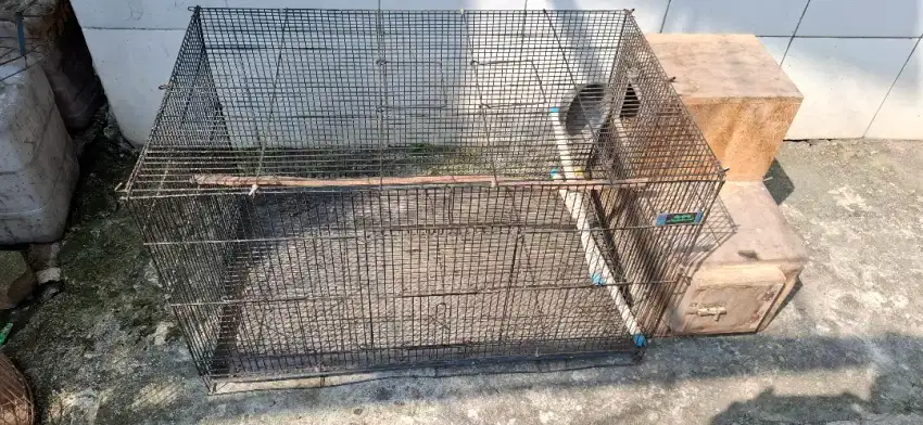Kandang kotak dan glodok