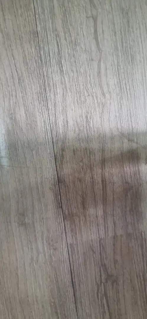 ART Pulang Pergi