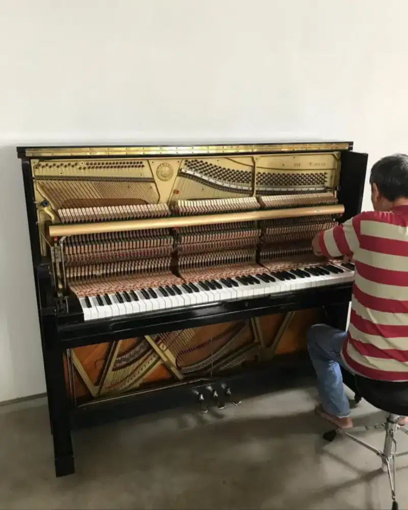 STEM DAN REPRASI PIANO UPRIGHT ATAU GRAND