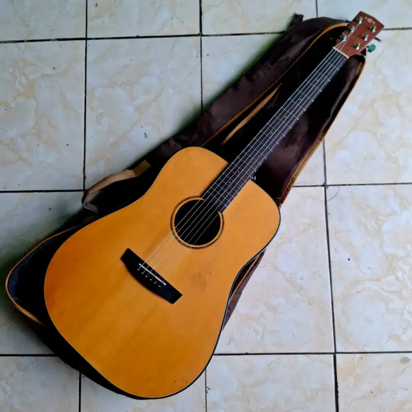 Akustik elektrik hex D70E M