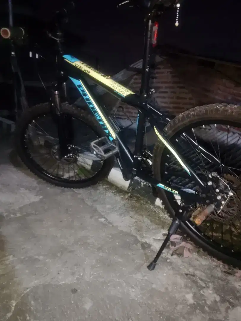 Sepeda MTB Phoenix 172 XR