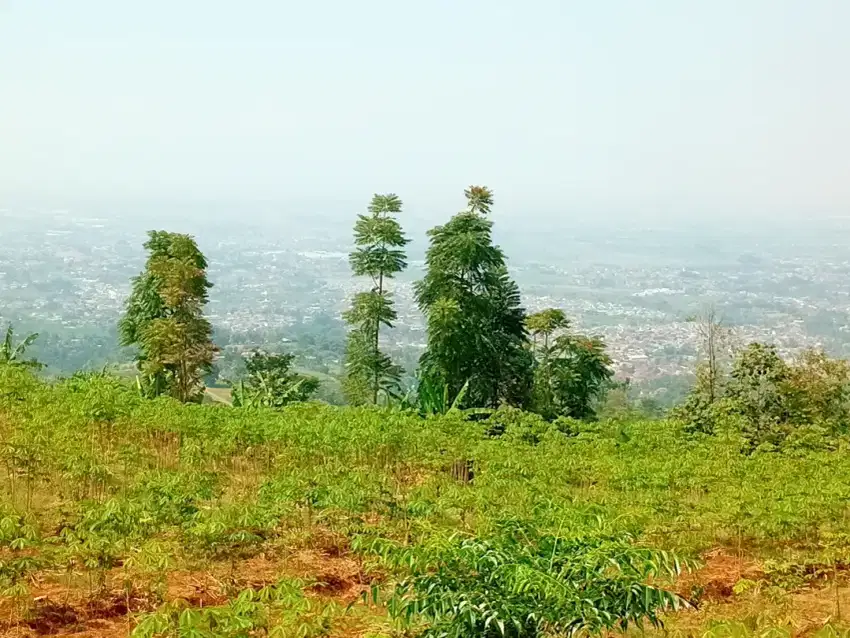TANAH KEBUN MURAH SOREANG BANDUNG SELATAN