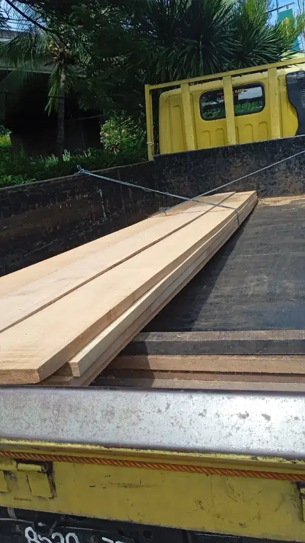 Papan Kayu Damar Laut ukuran T. 3cm x L. 20cm x P. 4m