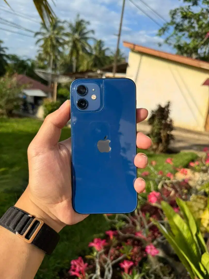 Iphone 12 Basic 128Gb