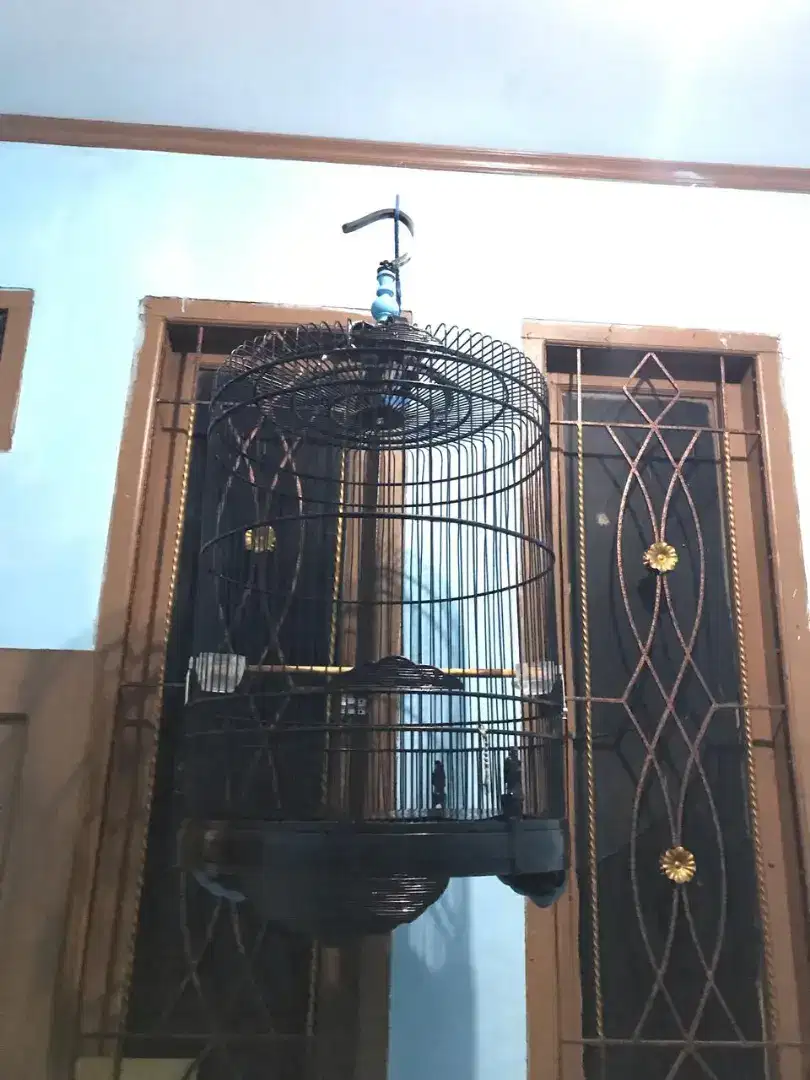 Sangkar murai no 3 replika oriq
