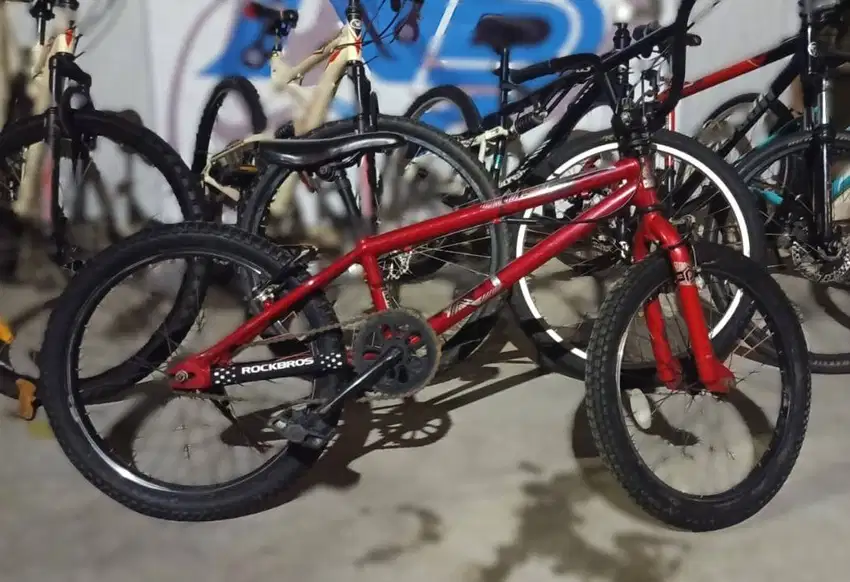 Polygon Rodge, BMX like new