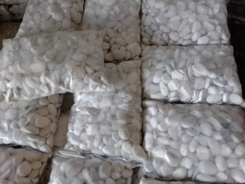 BATU ALAM KORAL PUTIH 10KG