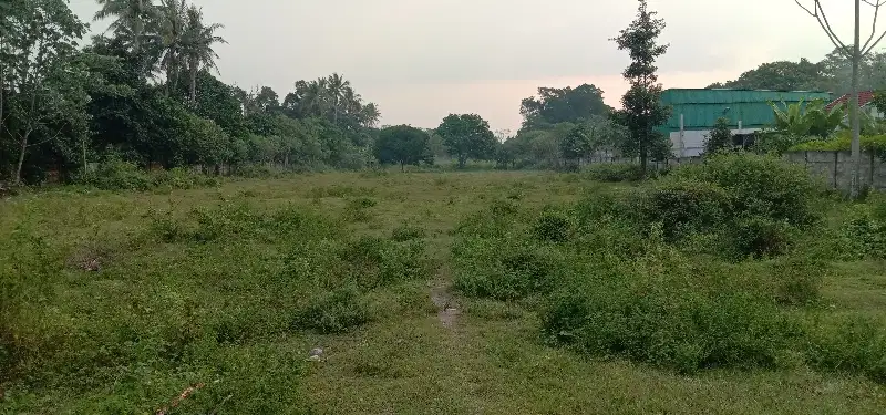 dijual tanah cisauk maloko