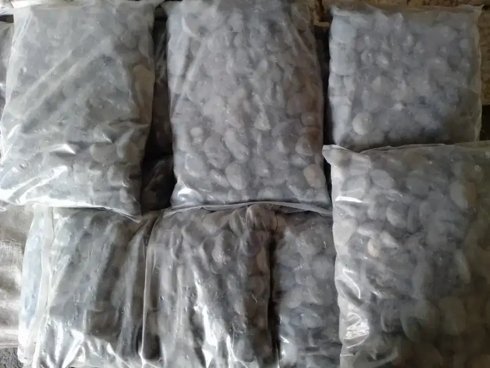 BATU HITAM BENGKULU 10KG