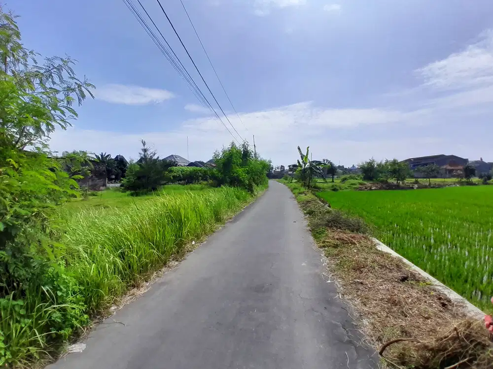 Jl. Kabupaten, 2 Km Sindu Kusuma Edupark (SKE)