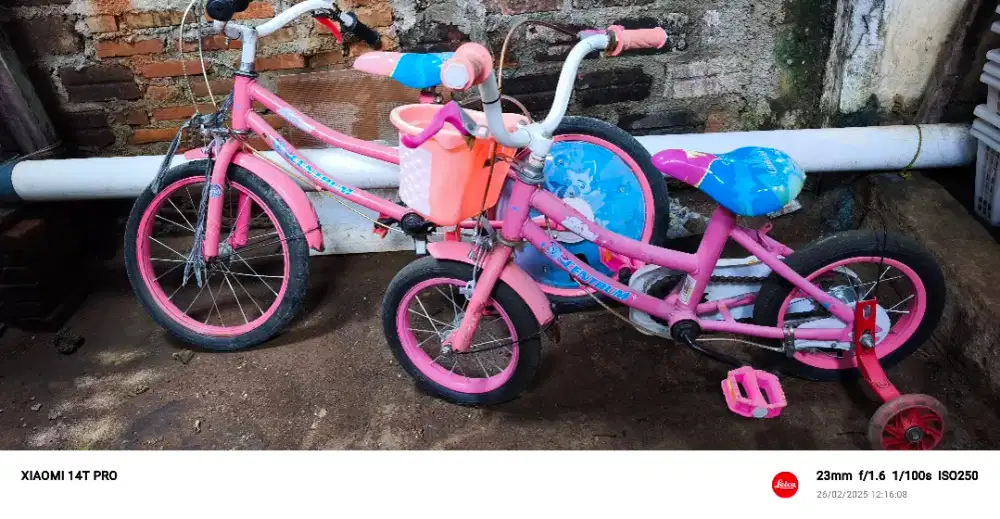 Sepeda anak uk 12/14