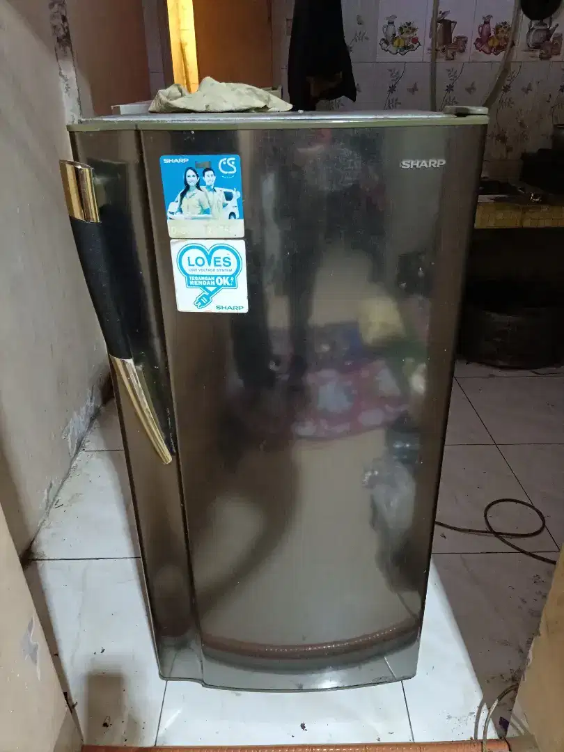 Kulkas 1 pintu Shap