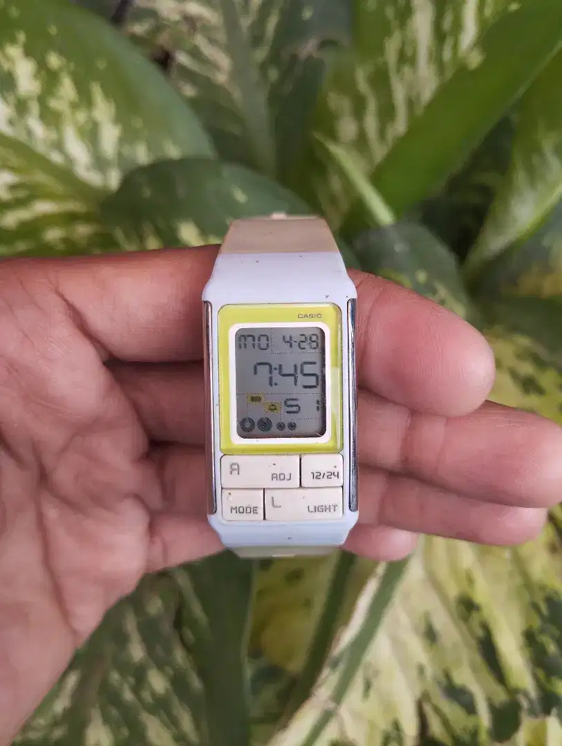 Casio watch LDF-51