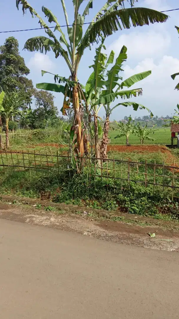 Dijual tanah kebun di Tanjung Sari, SHM dekat pintu tol Tanjung sari