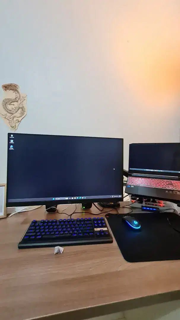Monitor game LG 24GN600 144hz