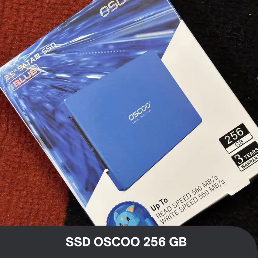 Hardisk SSD OSCOO 256 GB