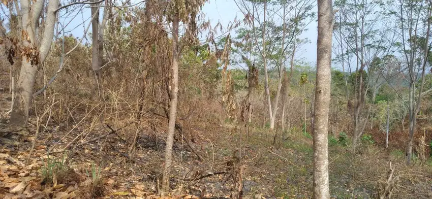 Tanah 6,8 hektar dekat lengkung langit kemiling