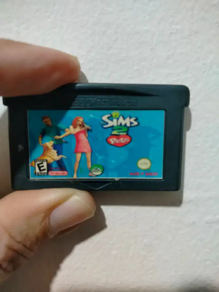 Game Nintendo the Sims