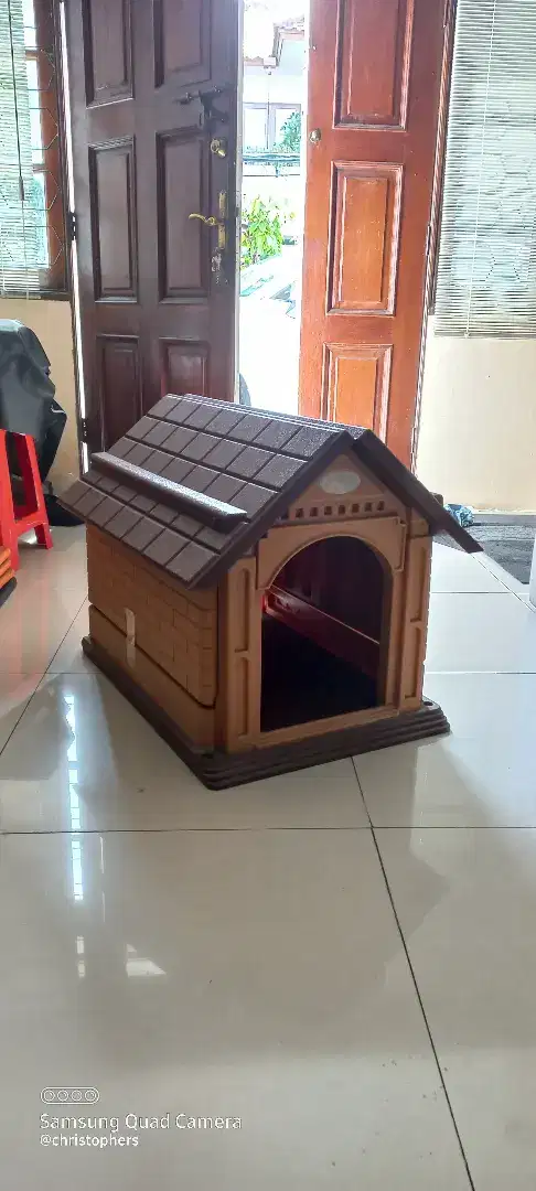 Rumahan anjing dan kucing kondisi ok
