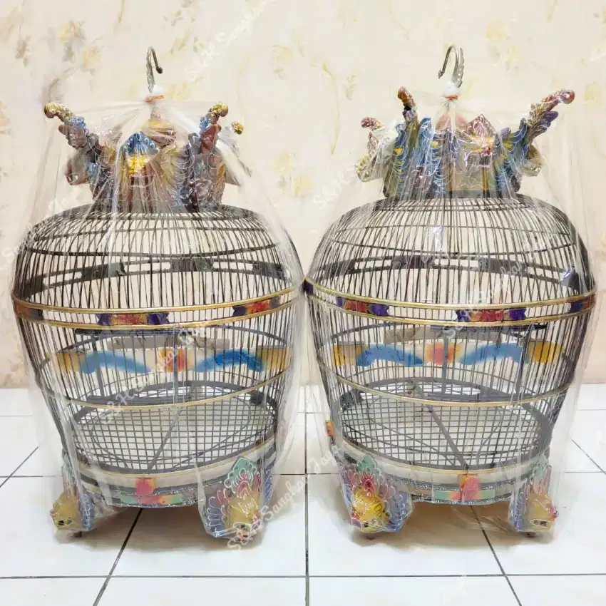 Sangkar Puter Derkuku Barong