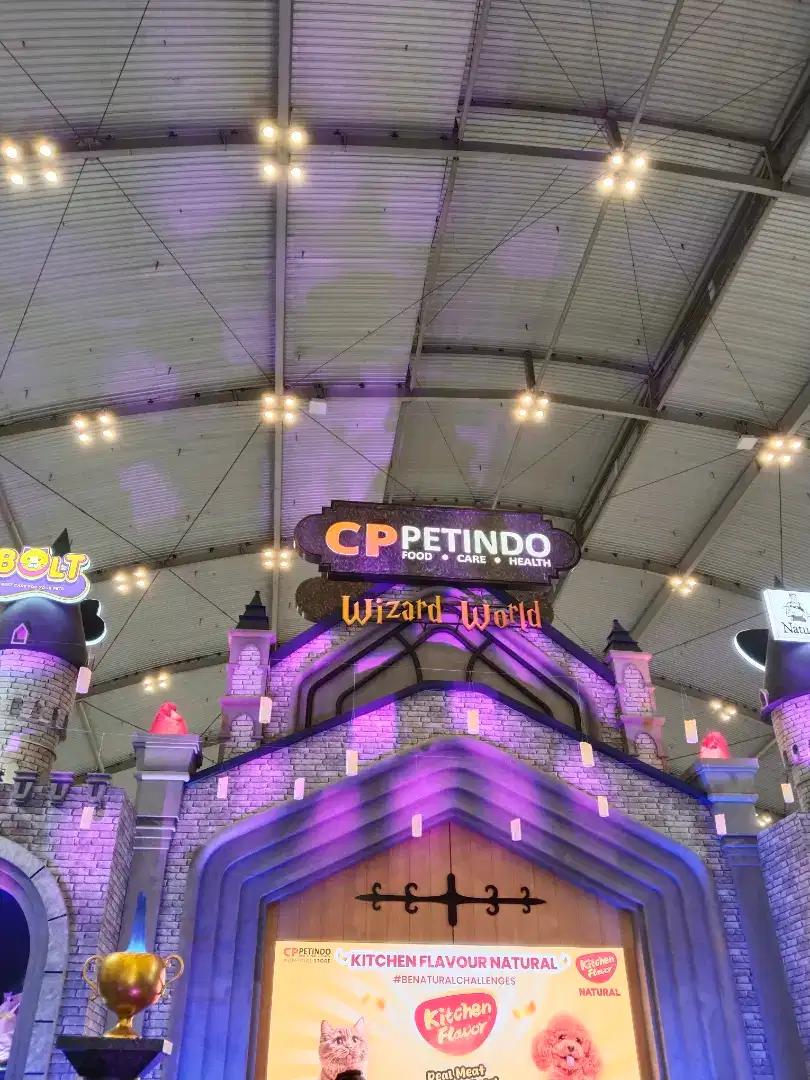 Butuh asisten untuk rekam2 di event