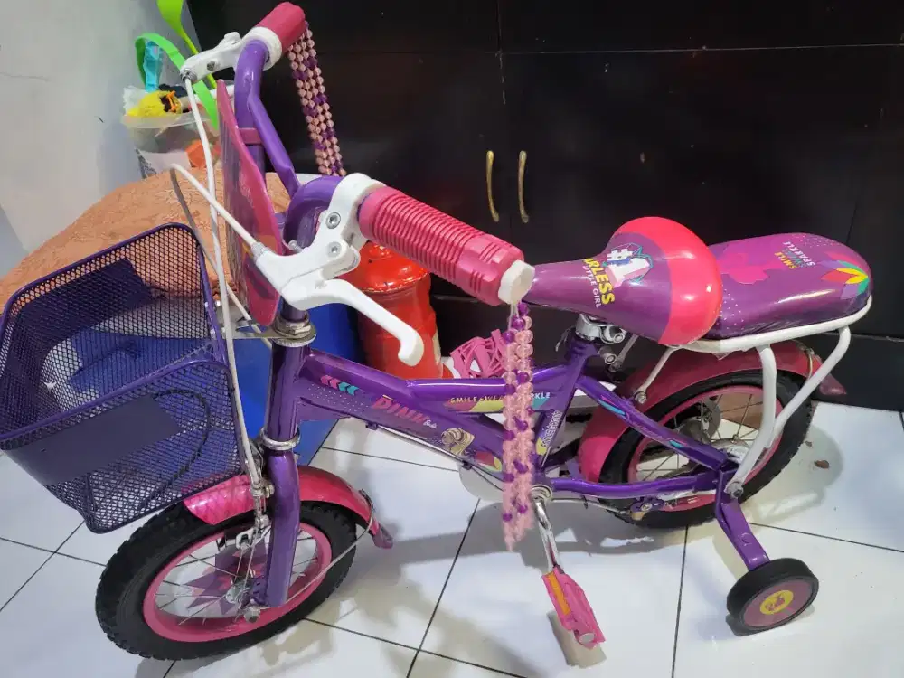Sepeda anak roda 4