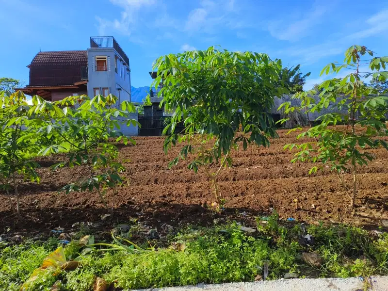 Tanah siap bangun cisarua Puncak bogor