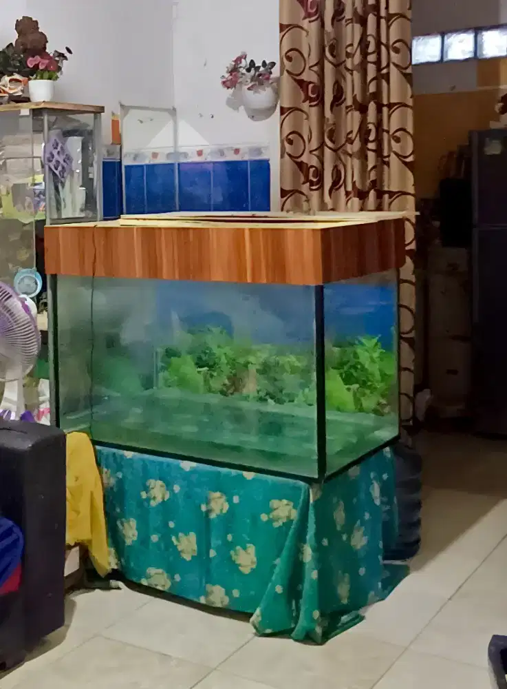 Aquarium Full Set Lampu, Filter, Pasir, Cover