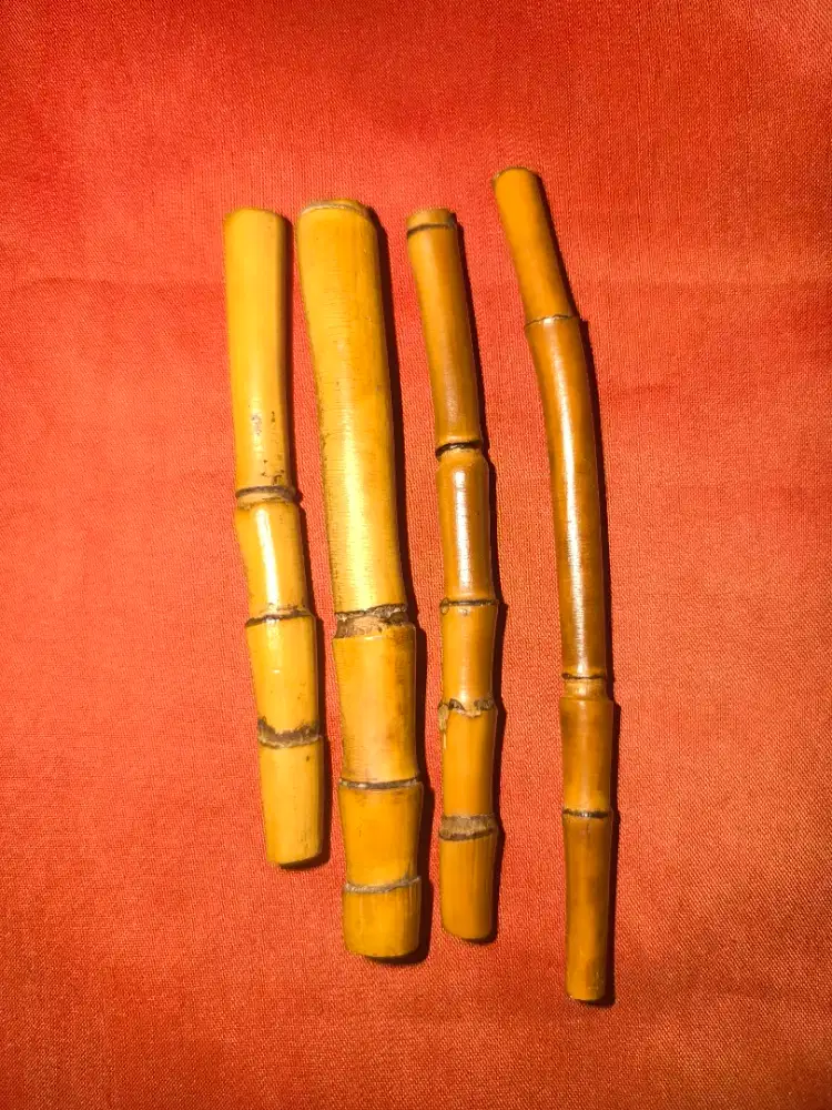 Rotan Langka Ketemu Ruas