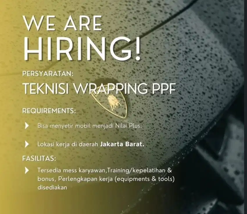 TEKNISI WRAPPING PPF