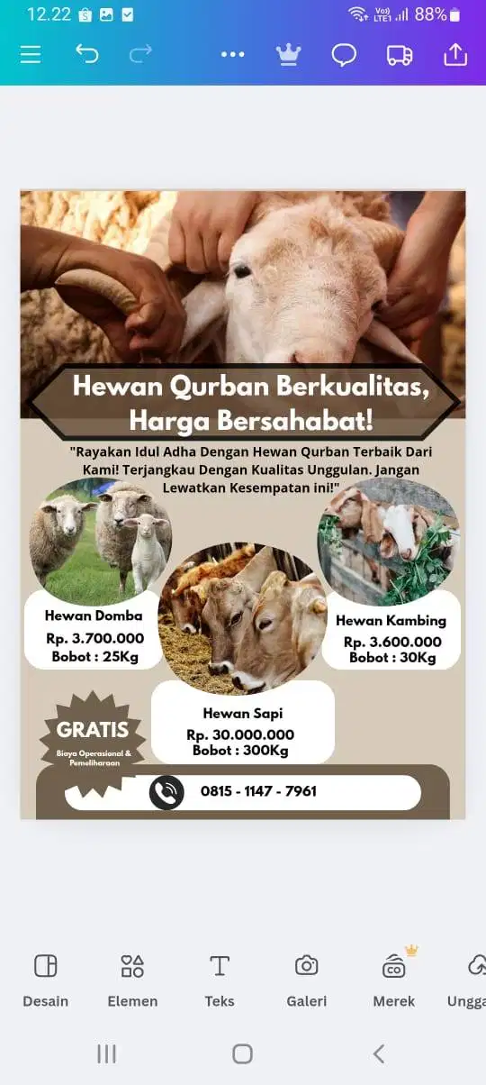 Sapi Qurban Semua jenis